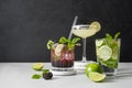 Classic and blackberry mojito cocktaisl with lime.