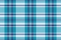 Classic blue and white plaid pattern. Versatile backdrop for design, textile projects, or festivethemed visuals. Timeless, stylish Royalty Free Stock Photo