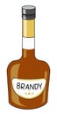 Classic Brandy Cognac in a bottle. Doodle cartoon hipster style vector illustration isolated on white background. Good
