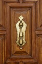 Classic bronze doorknob on a traditional wooden door detail