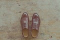 Classic brown leather mens shoes on wooden background Royalty Free Stock Photo