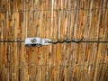 Classic brown reed fence details Royalty Free Stock Photo