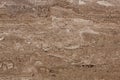 Classic brown travertine stone texture.