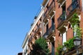 Classic building facades with vivid greenery and vintage balconies downtown Madrid, Spain. Vintage architecture. Old fashioned Royalty Free Stock Photo