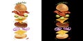 Classic burger illustration with flying ingredient