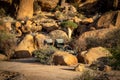 Classic Campground along the mountains of Spitzkoppe in Namibia