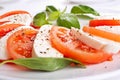 Classic caprese salad