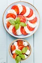 Classic caprese salad. Mozzarella tomatoes and  Basilikum Royalty Free Stock Photo