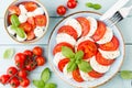 Classic caprese salad. Mozzarella tomatoes and  Basilikum Royalty Free Stock Photo