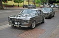 Classic car models of Shelby 1967 Mustang GT500 are parked on a street as a part of wedding cortege