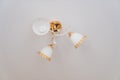 classic ceiling lamp with white lampshades with gold decor.