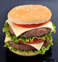 Classic cheeseburger Royalty Free Stock Photo