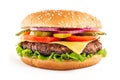 Classic cheeseburger Royalty Free Stock Photo