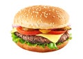 Classic cheeseburger Royalty Free Stock Photo