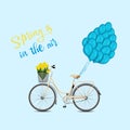 Classic city bicycle, ecological sport transport. Beige women bicycle with metal basket, yellow tulips and and balloons attached Royalty Free Stock Photo