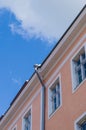 Classic city house with downpipe under blue sky