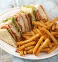 Classic club sandwich Royalty Free Stock Photo