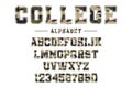 Classic college font with camouflage texture. Vintage sport font in american style