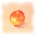 Classic Color Sketch of the Red-Yellow Apple Royalty Free Stock Photo