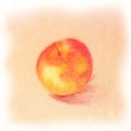 Classic Color Sketch of the Red-Yellow Apple