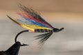 Classic and colorful Atlantic salmon fishing wet fly. Royalty Free Stock Photo