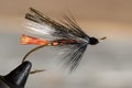 Classic and colorful Atlantic salmon fishing wet fly. Royalty Free Stock Photo