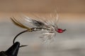 Classic and colorful Atlantic salmon fishing wet fly. Royalty Free Stock Photo