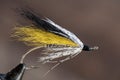 Classic and colorful Atlantic salmon fishing wet fly. Royalty Free Stock Photo