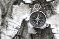 Classic compass on natural background with birch bark texture