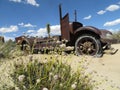 Classic Desert Southwest Photo of a Rusty Old Car Abandoned by a Flowering Shrub Royalty Free Stock Photo