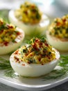 Classic deviled eggs topped with fresh herbs and paprika served on a white plate garnished with dill for an elegant appetizer Royalty Free Stock Photo