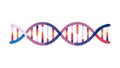 Classic DNA Double Helix Structure, vector design Generative AI Royalty Free Stock Photo