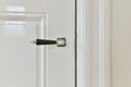 Classic door handle Royalty Free Stock Photo