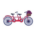 Classic double bike with basket with flowers Royalty Free Stock Photo