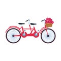 Classic double bike with basket with flowers, colorful design Royalty Free Stock Photo