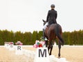 Classic Dressage horse. Horse rider girl and horse. Trot strengthening suspension. Equestrian competition show. Green Royalty Free Stock Photo