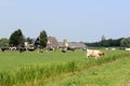 Classic dutch country view Royalty Free Stock Photo
