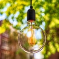 Classic Edison light bulb on green leaves background Royalty Free Stock Photo