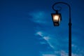 Classic electric lamp lighting and shining against dark blue sky at dusk, copy space Royalty Free Stock Photo