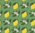 Classic endless pattern of lemons and lemon flowers against turquoise background. Vivid seamless surface design for printing on Royalty Free Stock Photo