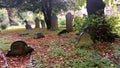 Classic English Graveyard. Death Graves, Afterlife