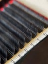Classic eyelash extension. A palette of artificial eyelashes in close-up. Macrophotography of eyelashes for extension Royalty Free Stock Photo