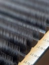 Classic eyelash extension. A palette of artificial eyelashes in close-up. Macrophotography of eyelashes for extension Royalty Free Stock Photo