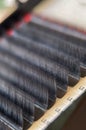 Classic eyelash extension. A palette of artificial eyelashes in close-up. Macrophotography of eyelashes for extension Royalty Free Stock Photo