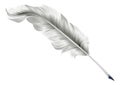 Classic feather quill illustration Royalty Free Stock Photo
