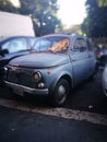 Classic Fiat 500