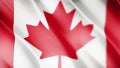Classic Flag Smooth. Real video of a large Canada flag blowing in the wind