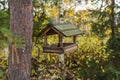 Classic forest bird and squirrel feeder as small gabled house on pine tree