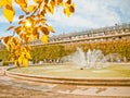 Classic fountain in paris royal park