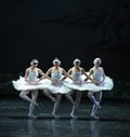 The classic Four Little Swan Dance-The Swan Lakeside-ballet Swan Lake Royalty Free Stock Photo